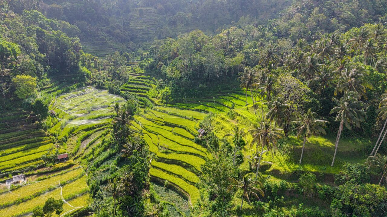 Wakacje Indonezja – podróż po wyspach pełnych egzotycznej przyrody i niezwykłej kultury